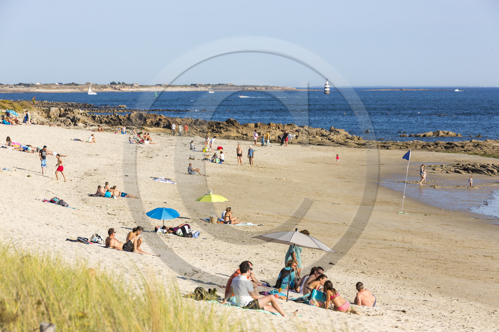 Plage de Kerguelen _ les roseaux à Larmor-Plage