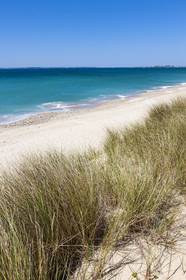 The beach of Lines in Gâvres