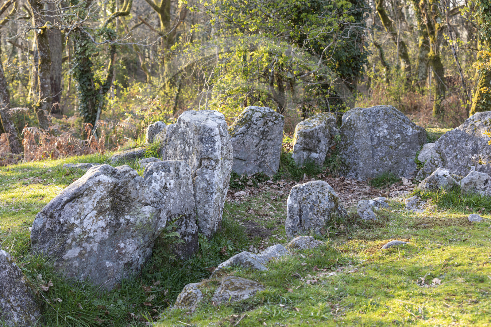 Le site mégalithiques de Mané Bogad à Ploemel