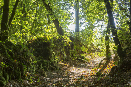 Vallée du Brandifrout _ Bubry