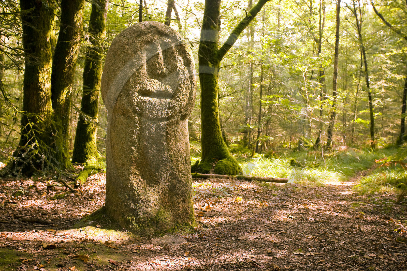 Babouin's Menhir at Tredion.