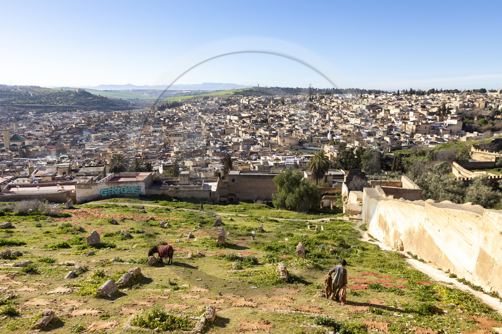 Vue sur la Médina de Fès au Maroc