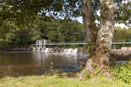 Lock of Manerven _ Languidic