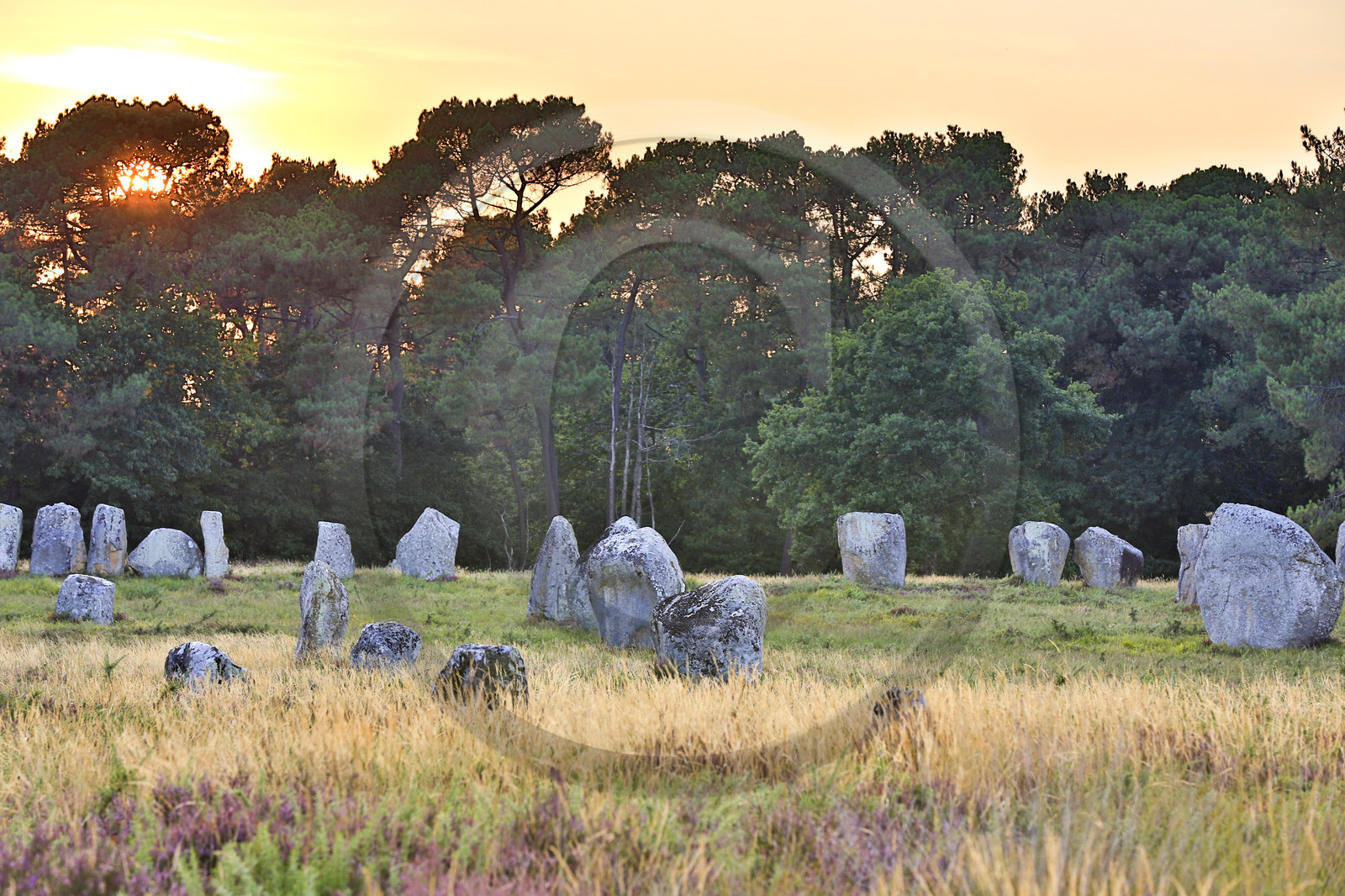 Les alignements de Kerlescan _ Carnac