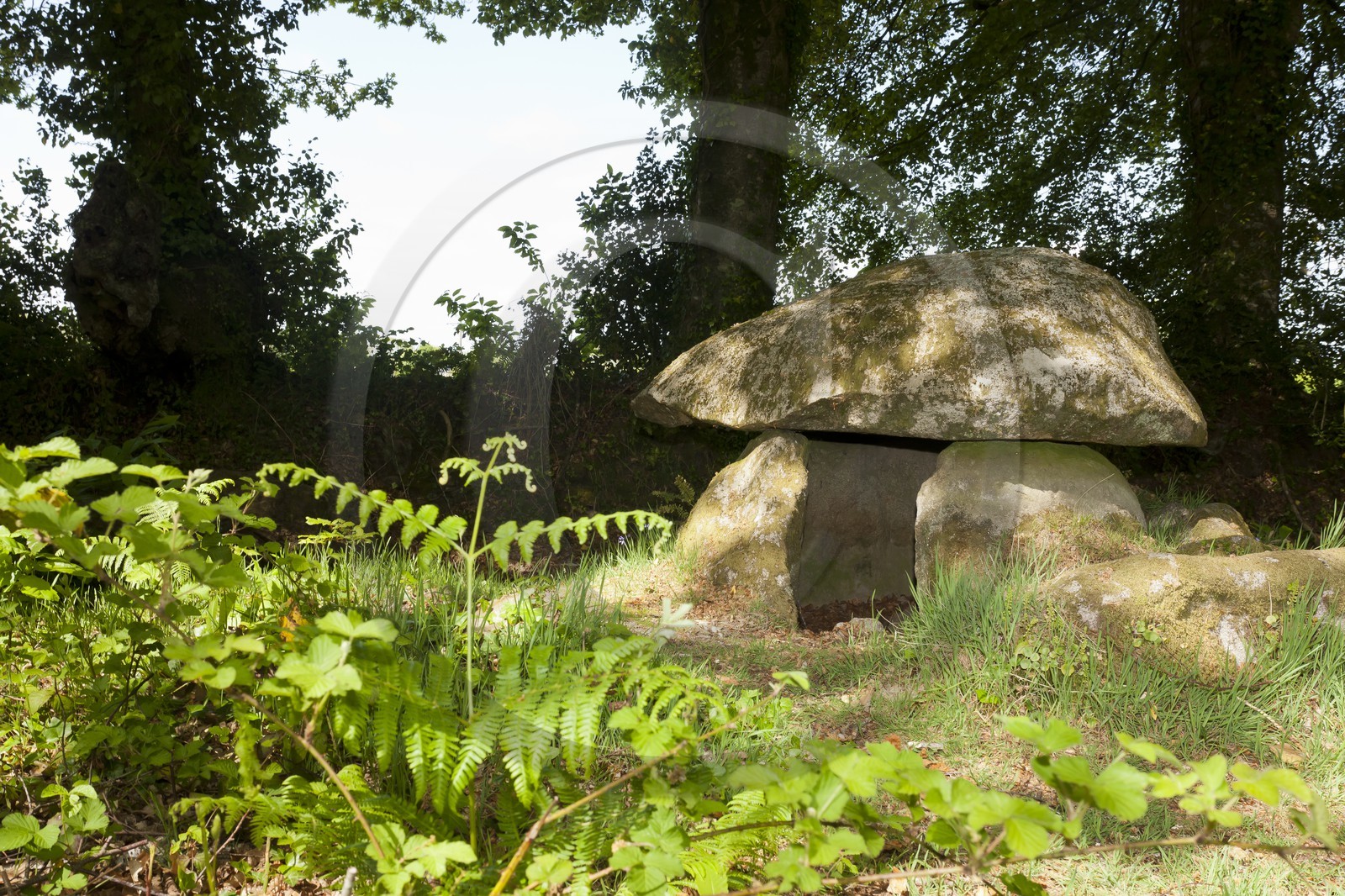 Dolmen de Lesvariel _ Guidel