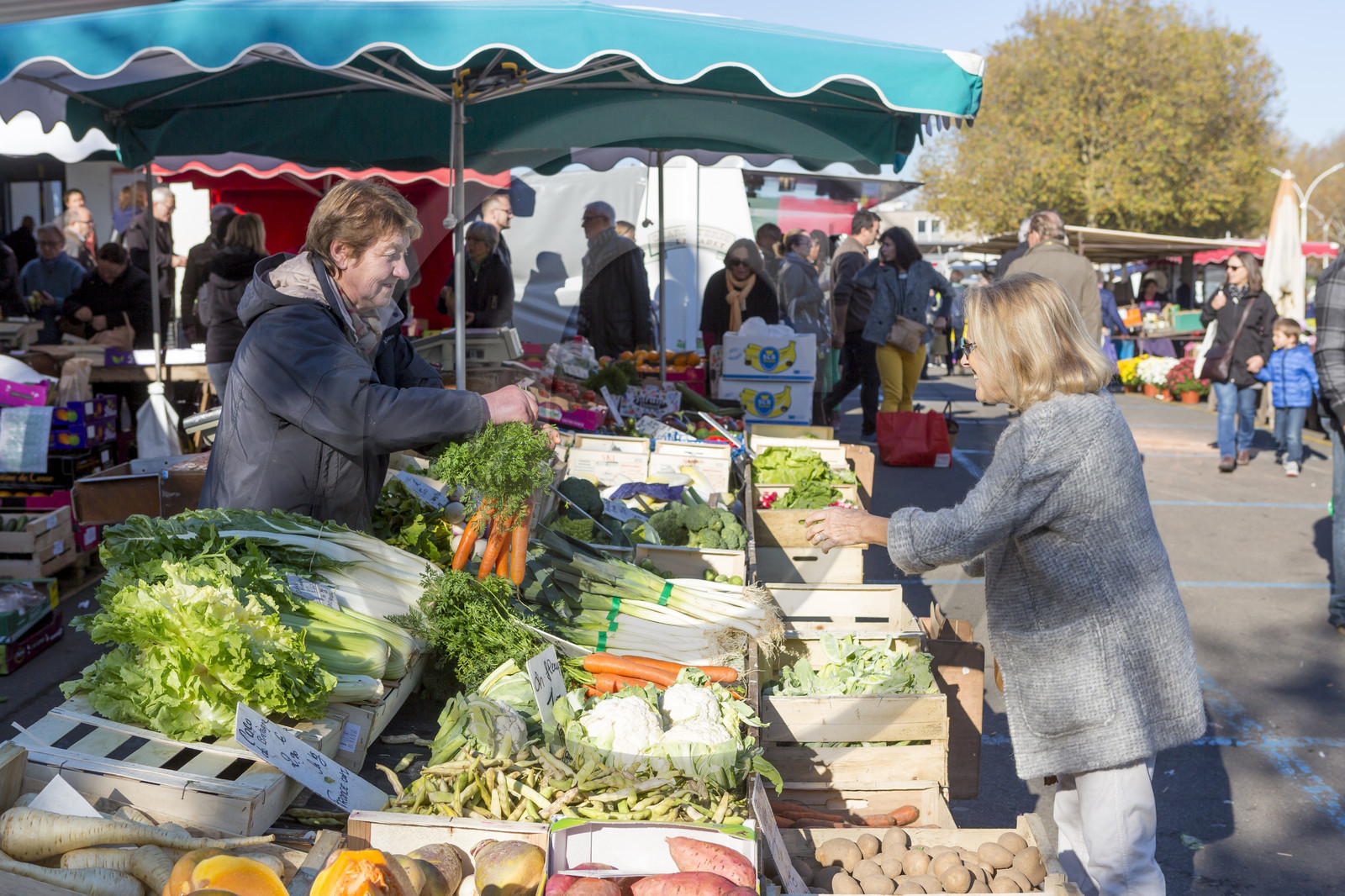 Marché de Merville à Lorient