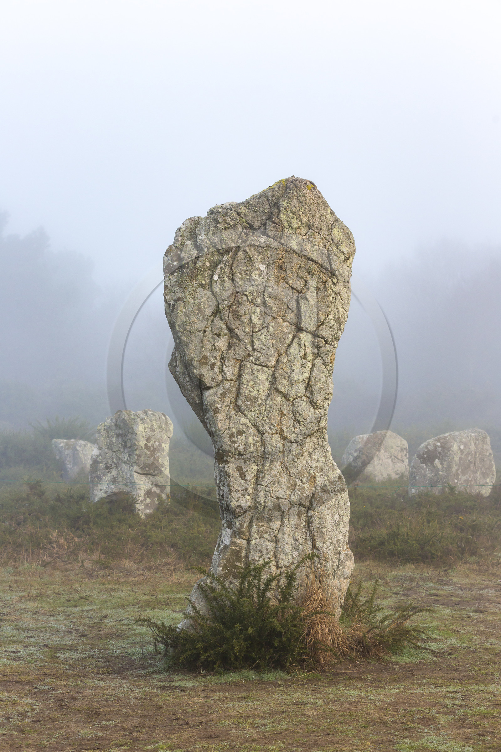 Les alignements du Menec à Carnac
