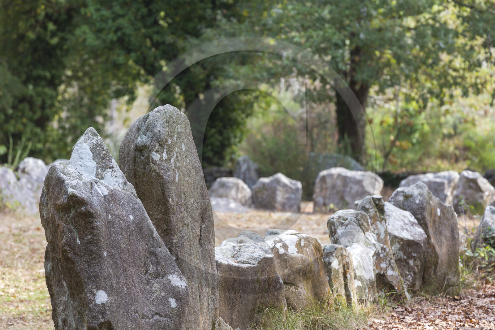 Le quadrilatère du Manio