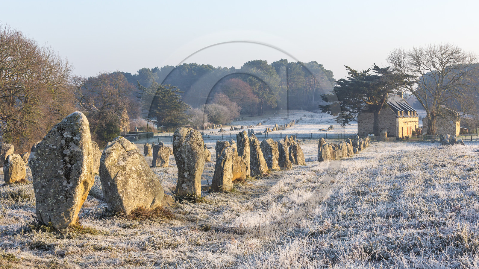 Alignements de Kerlescan à Carnac