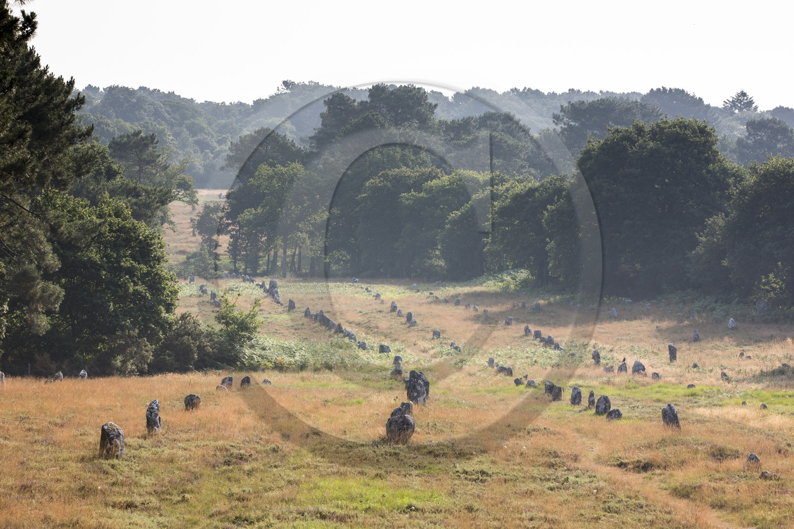 Les alignements de Kermario _ Carnac
