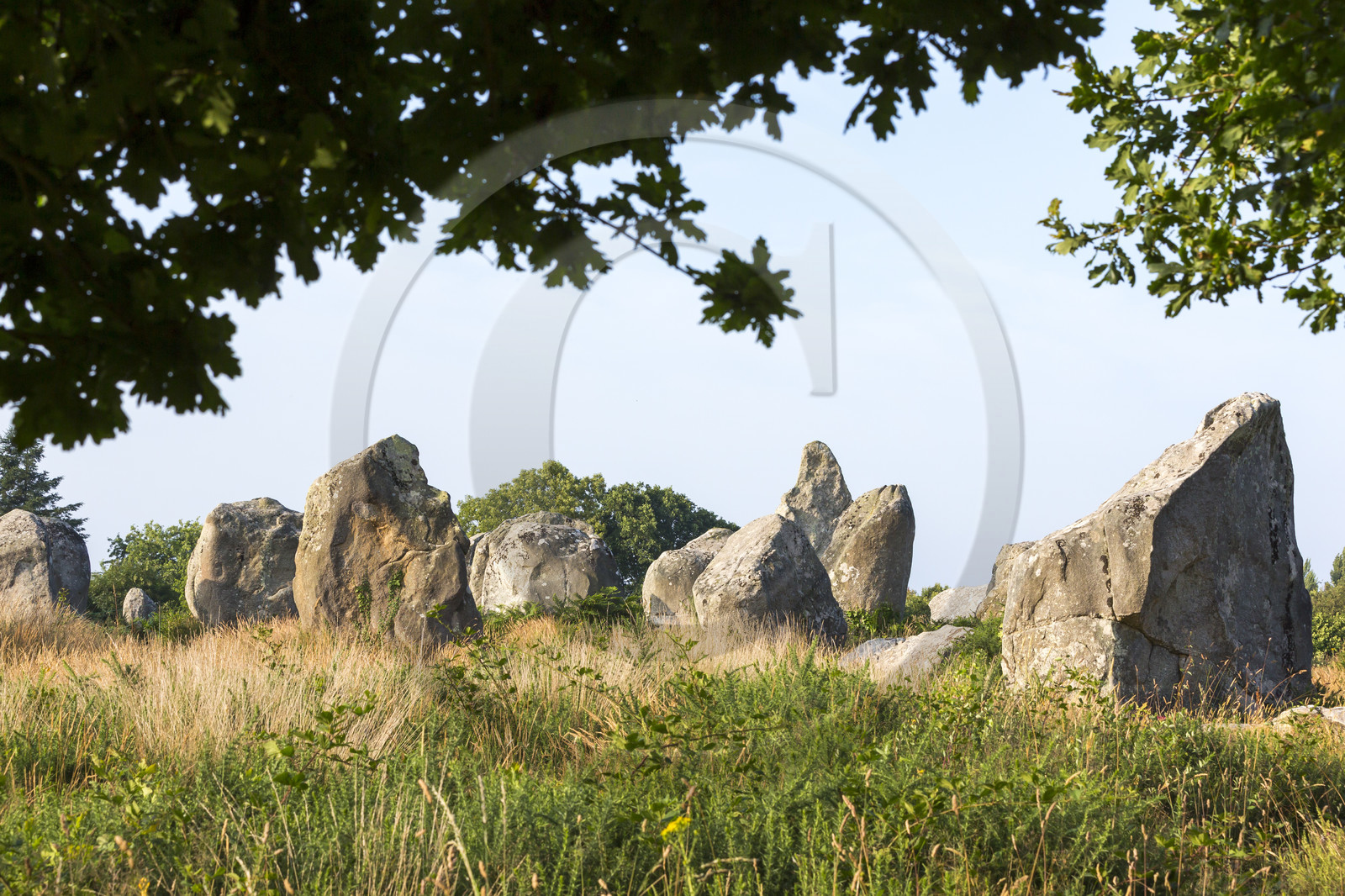 Les alignements de Kermario _ Carnac