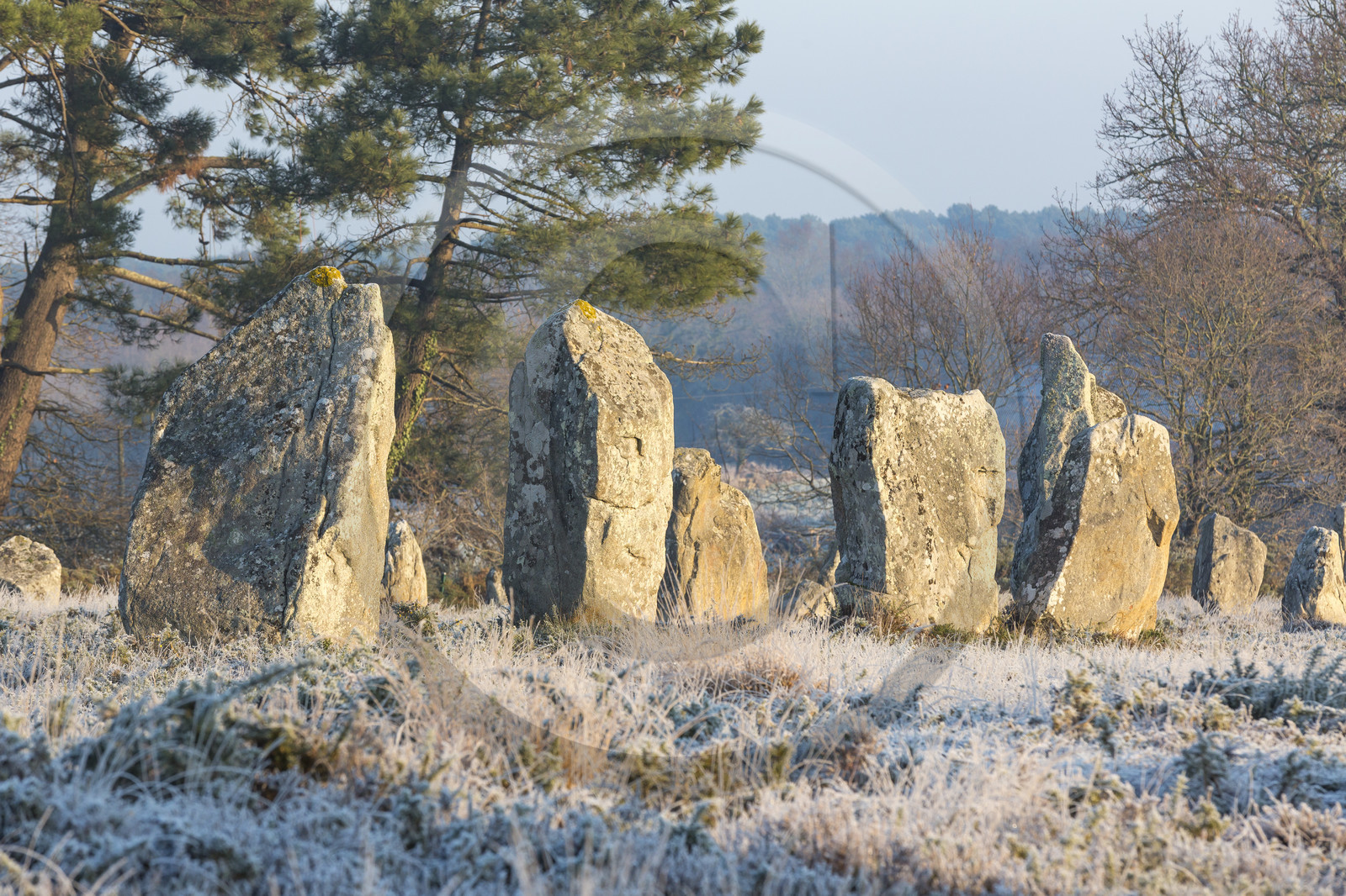 Alignements de Kerlescan à Carnac