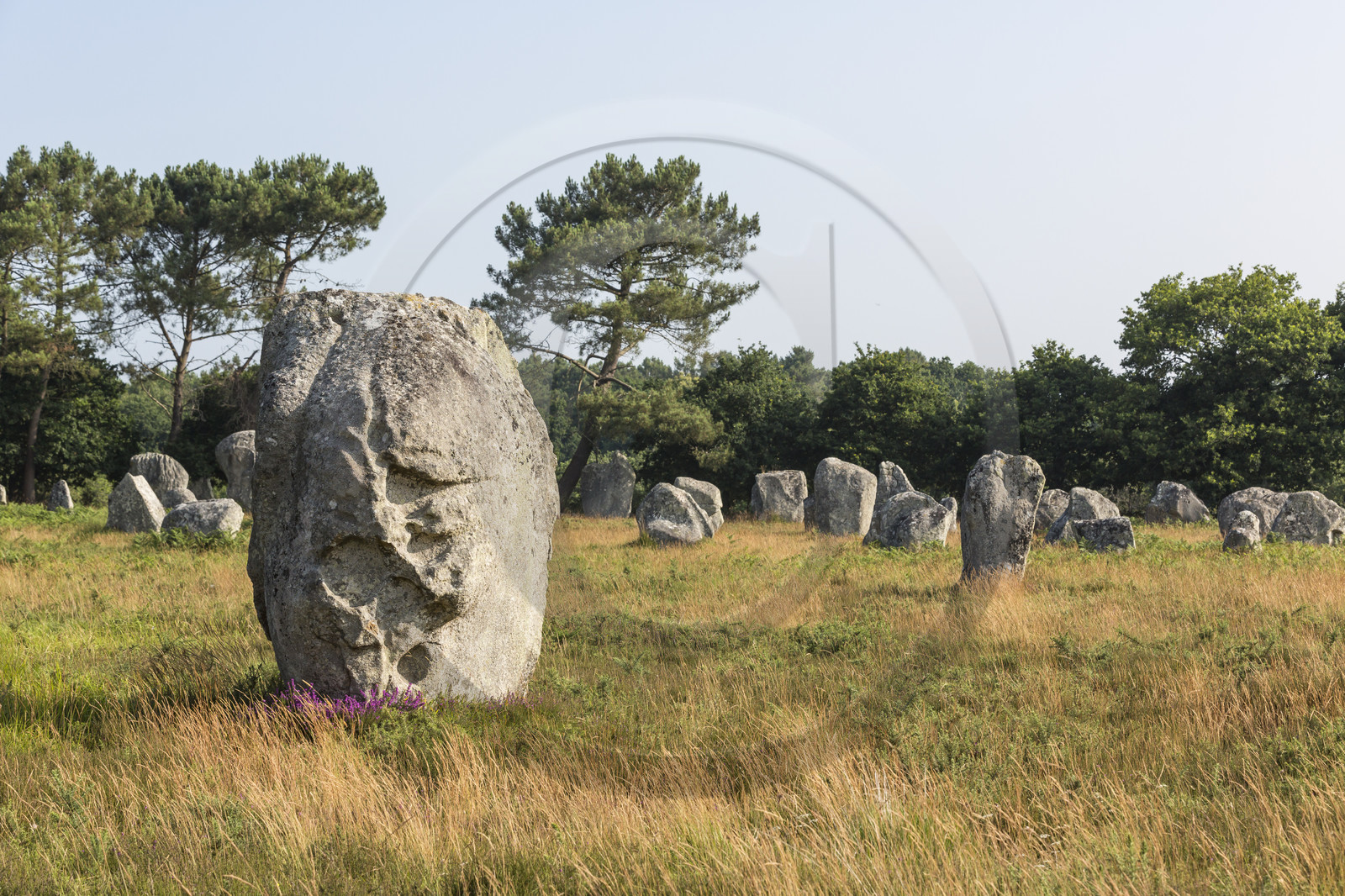 Alignements de Kerlescan à Carnac