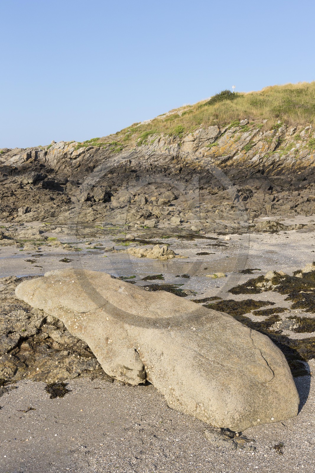 Le Menhir couché à St Jacut de la mer ( 22 )