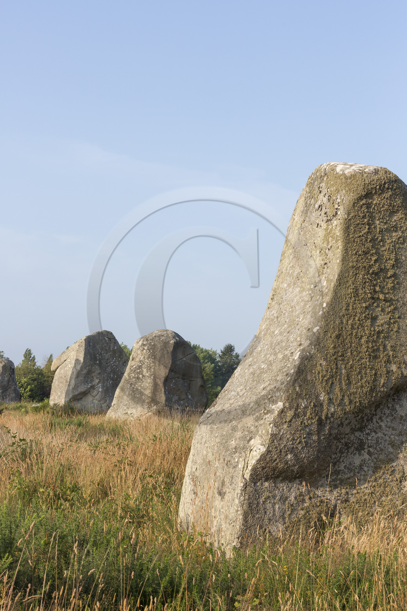 Les alignements de Kermario _ Carnac