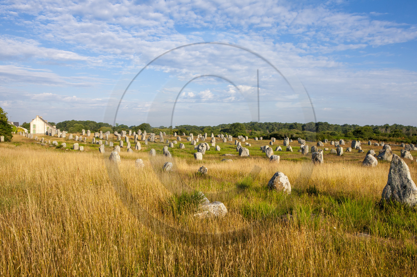 Alignements de menhirs du Ménec à Carnac