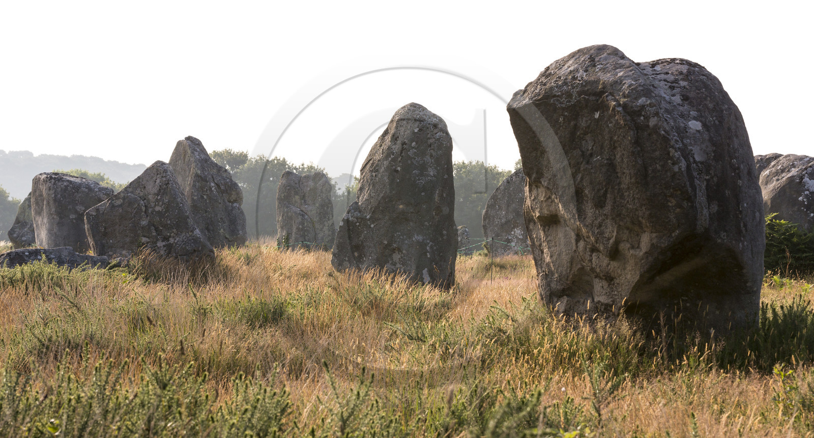 Les alignements de Kermario _ Carnac