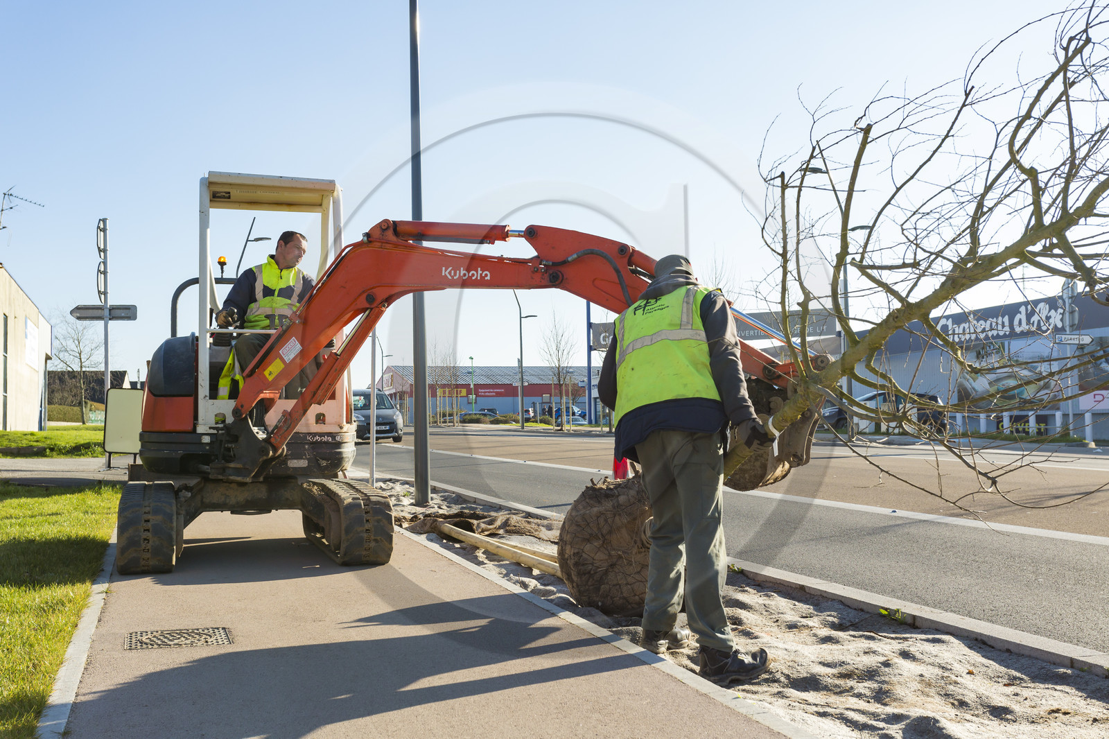 Triskell_Arbres_Queudet