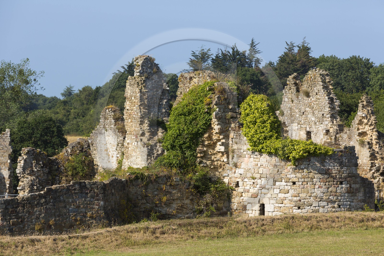 Le château du Guildo