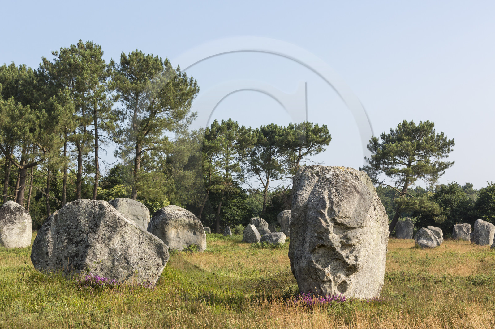 Les alignements de Kerlescan _ Carnac