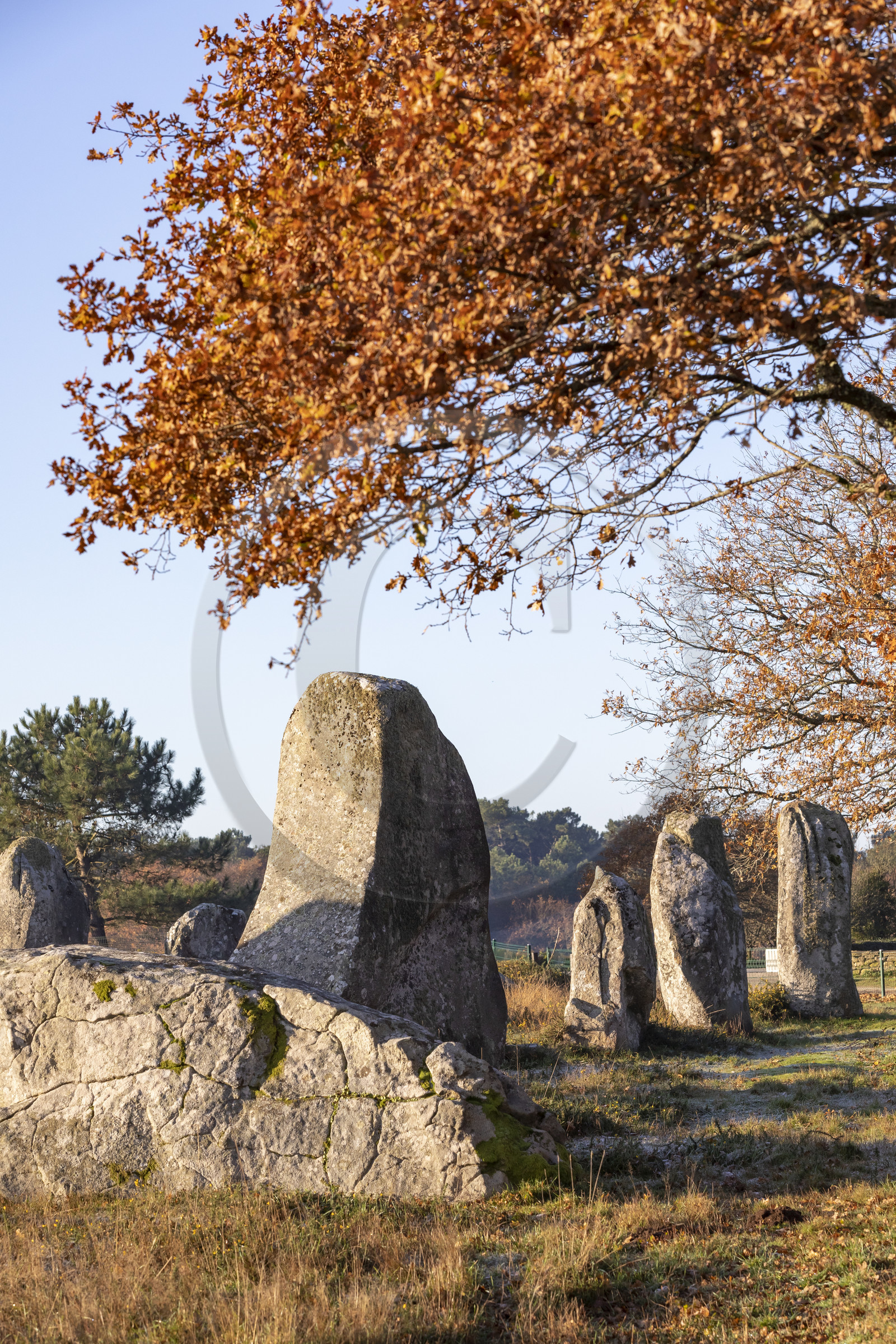 Alignement de Kermario_Carnac